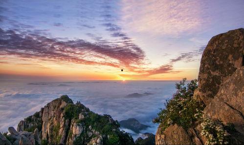 泰山1在线观看,巅峰对决,在线观看,震撼来袭! 第2张 泰山1在线观看,巅峰对决,在线观看,震撼来袭! 第2张